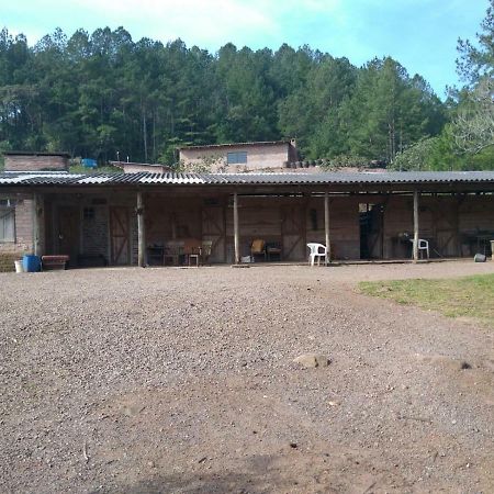 Pousada Paraiso Santa Cruz do Sul Buitenkant foto